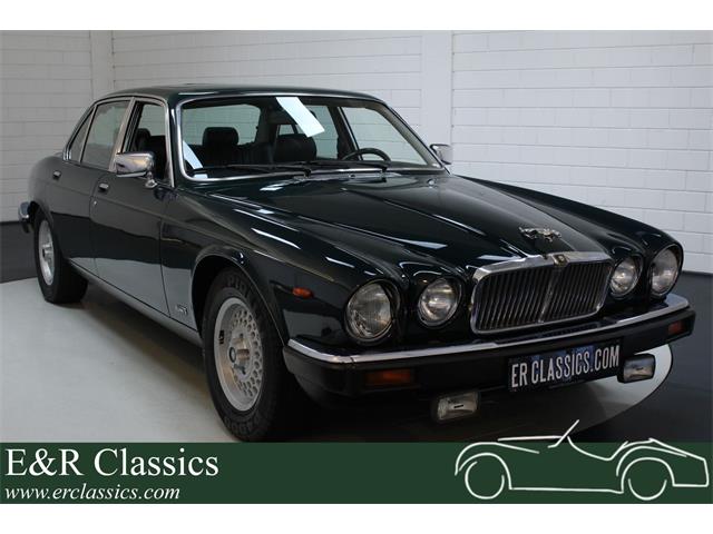 1991 Jaguar XJ12 (CC-1454333) for sale in Waalwijk, - Keine Angabe -