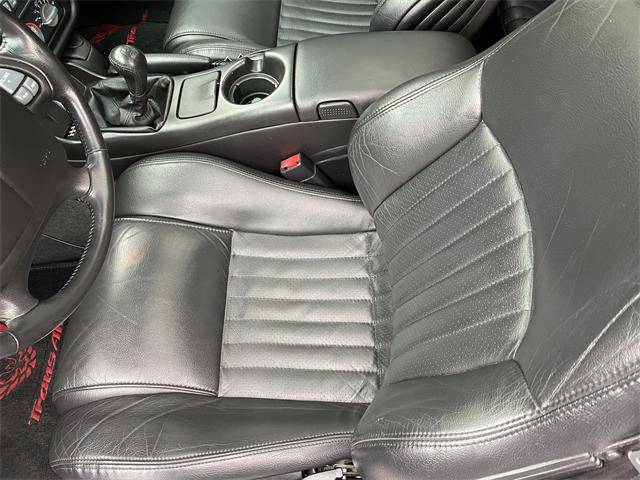 2001 Pontiac Firebird Trans Am WS6 (CC-1455066) for sale in Tampa, Florida