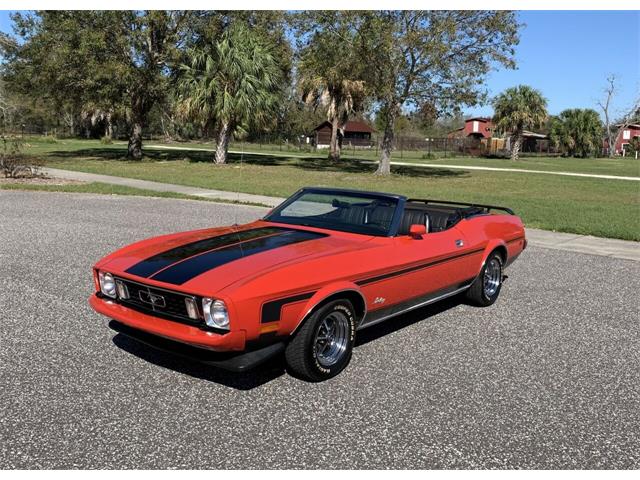 1973 Ford Mustang (CC-1455407) for sale in Clearwater, Florida