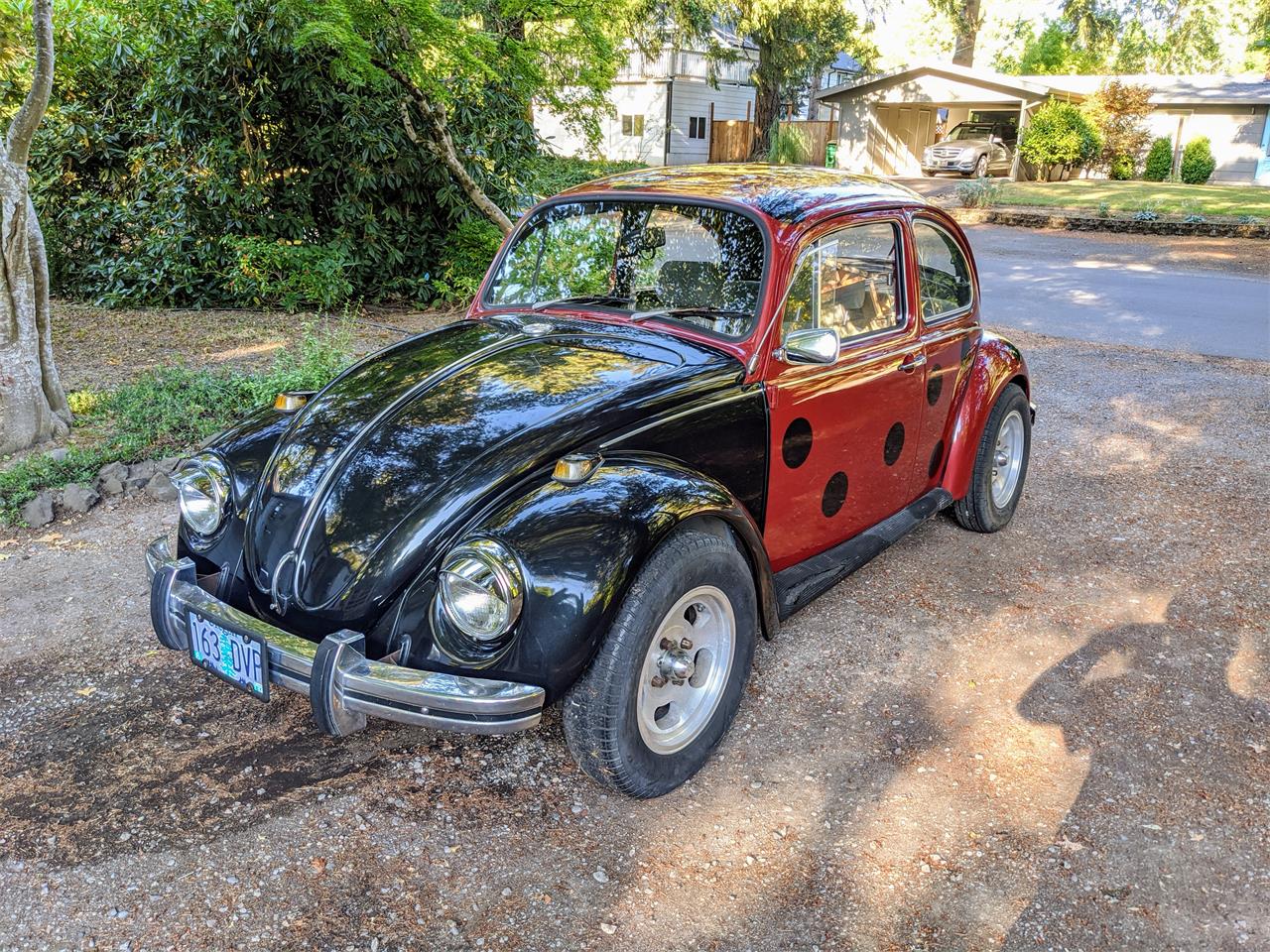 1969 Volkswagen Beetle For Sale | ClassicCars.com | CC-1456010