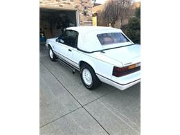1984 Ford Mustang (CC-1456140) for sale in Cadillac, Michigan