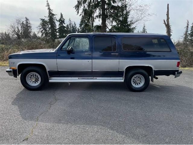 1991 Chevrolet Suburban (CC-1456163) for sale in Cadillac, Michigan