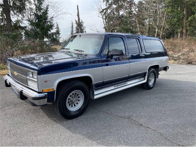 1991 Chevrolet Suburban (CC-1456163) for sale in Cadillac, Michigan