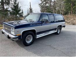 1991 Chevrolet Suburban (CC-1456163) for sale in Cadillac, Michigan