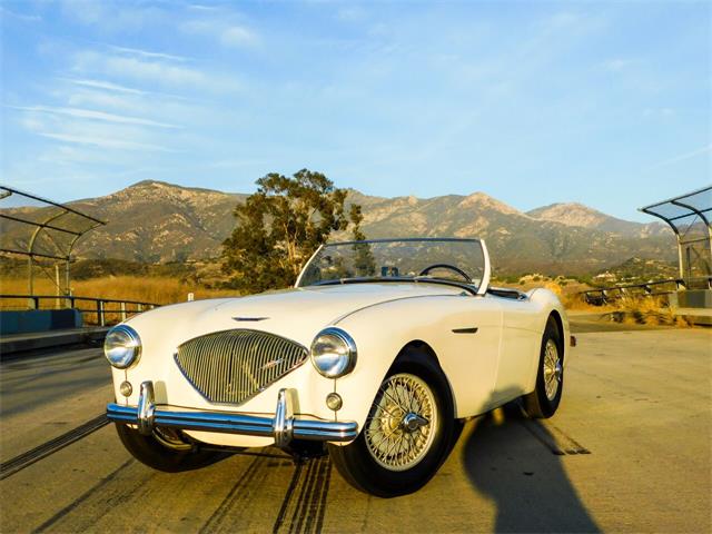 1954 Austin-Healey 100M (CC-1456215) for sale in Santa Barbara, California
