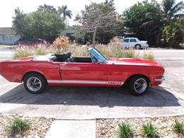 1966 Ford Mustang (CC-1456282) for sale in POMPANO BEACH, Florida