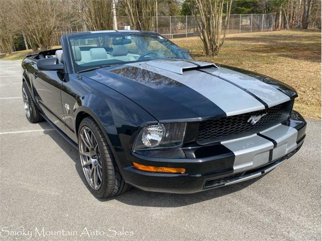 2009 Ford Mustang (CC-1457217) for sale in Lenoir City, Tennessee