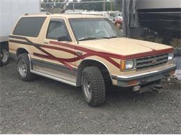 1985 Chevrolet Blazer (CC-1450723) for sale in Cadillac, Michigan