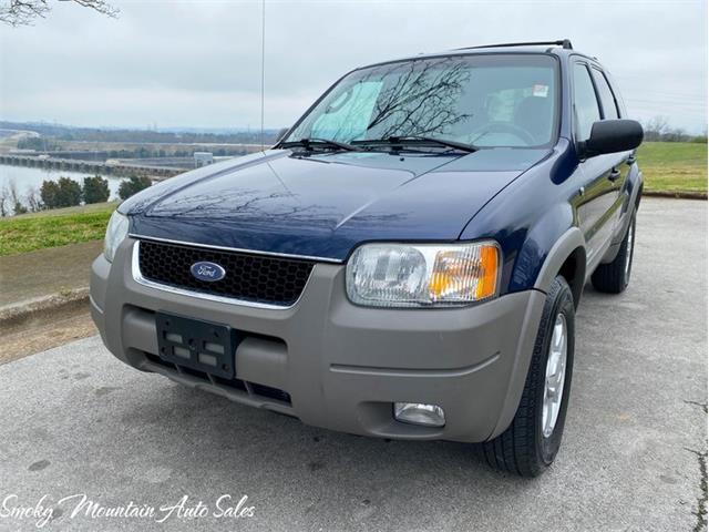 2002 Ford Escape (CC-1457826) for sale in Lenoir City, Tennessee