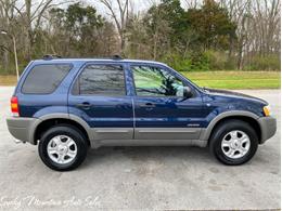 2002 Ford Escape (CC-1457826) for sale in Lenoir City, Tennessee