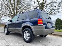 2002 Ford Escape (CC-1457826) for sale in Lenoir City, Tennessee