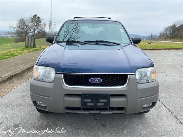2002 Ford Escape (CC-1457826) for sale in Lenoir City, Tennessee