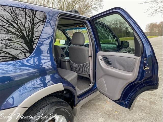 2002 Ford Escape (CC-1457826) for sale in Lenoir City, Tennessee