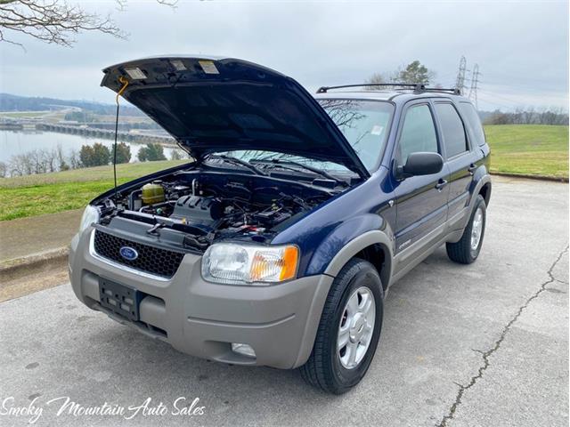 2002 Ford Escape (CC-1457826) for sale in Lenoir City, Tennessee