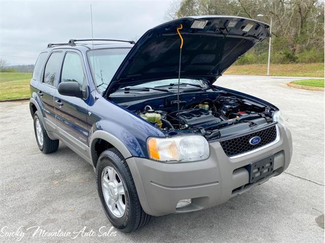 2002 Ford Escape (CC-1457826) for sale in Lenoir City, Tennessee