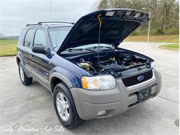 2002 Ford Escape (CC-1457826) for sale in Lenoir City, Tennessee