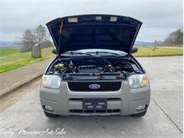 2002 Ford Escape (CC-1457826) for sale in Lenoir City, Tennessee