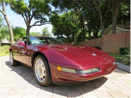 1993 Chevrolet Corvette (CC-1458616) for sale in Lakeland, Florida