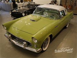 1956 Ford Thunderbird (CC-1458964) for sale in Miami, Florida