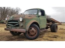 1954 Dodge Pickup (CC-1459402) for sale in Thief River Falls, Minnesota
