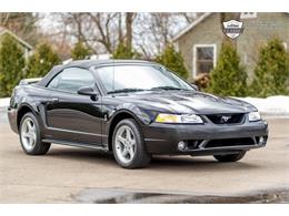 1999 Ford Mustang SVT Cobra (CC-1459654) for sale in Milford, Michigan