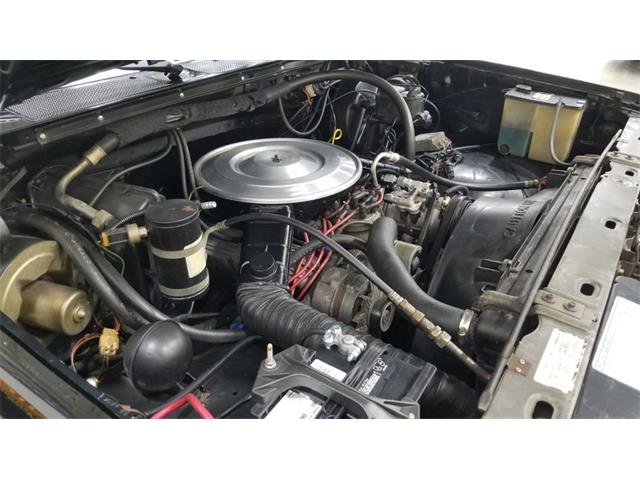 1983 Ford F150 (CC-1461036) for sale in Mankato, Minnesota