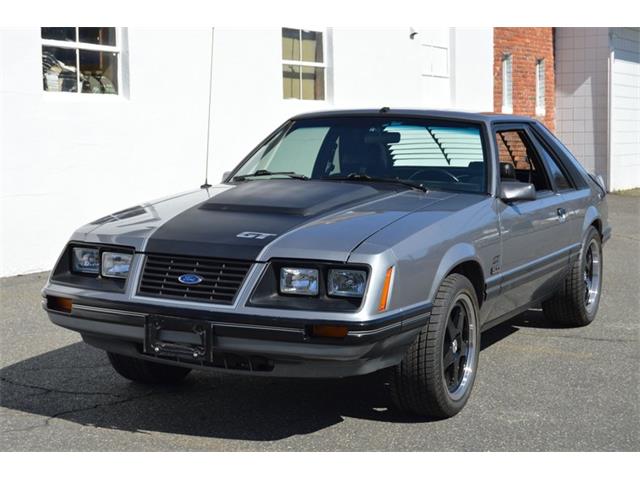 1984 Ford Mustang (CC-1461160) for sale in Springfield, Massachusetts