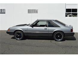 1984 Ford Mustang (CC-1461160) for sale in Springfield, Massachusetts