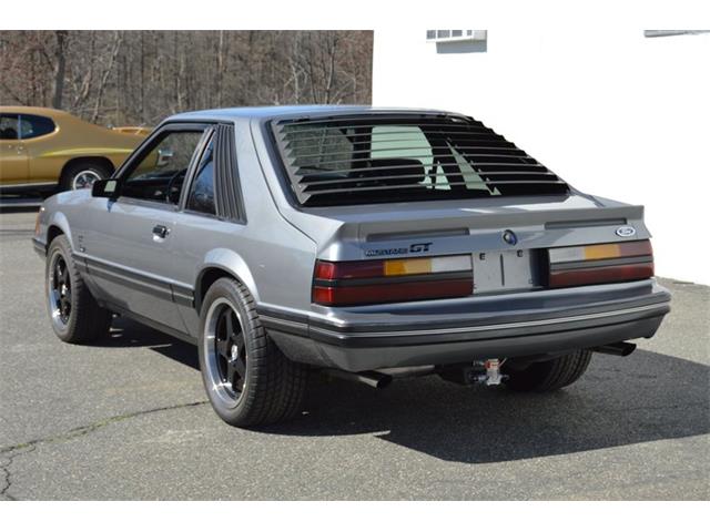 1984 Ford Mustang (CC-1461160) for sale in Springfield, Massachusetts
