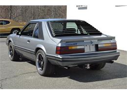 1984 Ford Mustang (CC-1461160) for sale in Springfield, Massachusetts