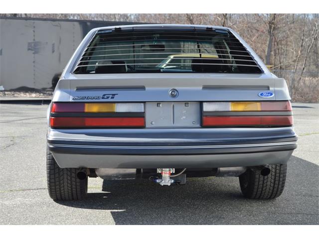 1984 Ford Mustang (CC-1461160) for sale in Springfield, Massachusetts