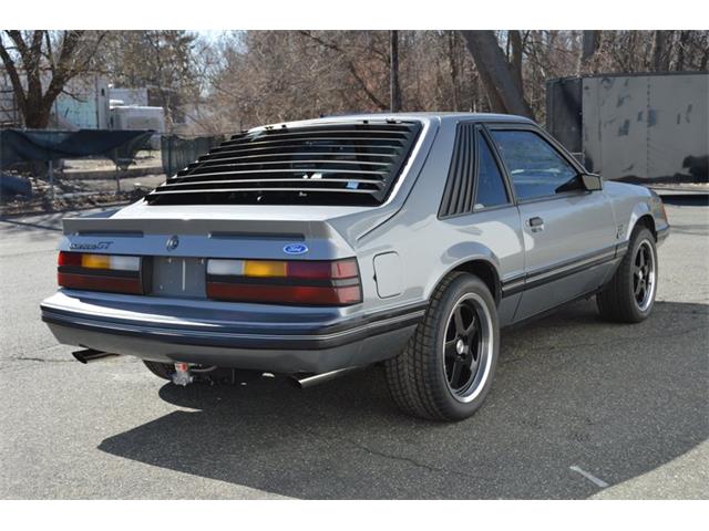 1984 Ford Mustang (CC-1461160) for sale in Springfield, Massachusetts