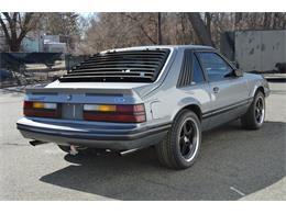1984 Ford Mustang (CC-1461160) for sale in Springfield, Massachusetts