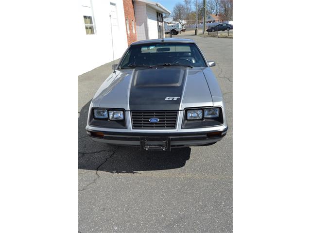 1984 Ford Mustang (CC-1461160) for sale in Springfield, Massachusetts
