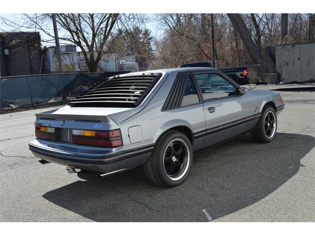 1984 Ford Mustang (CC-1461160) for sale in Springfield, Massachusetts