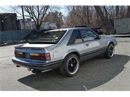 1984 Ford Mustang (CC-1461160) for sale in Springfield, Massachusetts