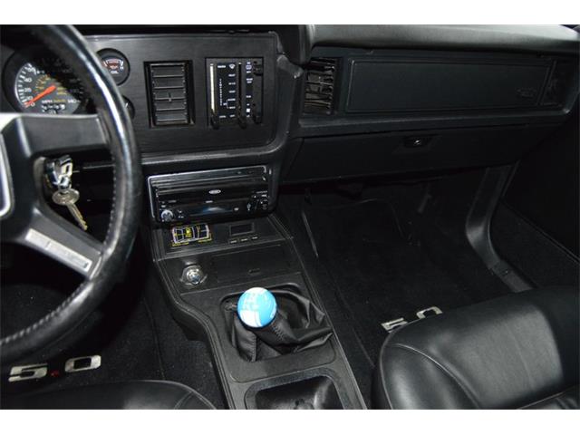 1984 Ford Mustang (CC-1461160) for sale in Springfield, Massachusetts