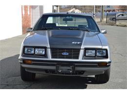 1984 Ford Mustang (CC-1461160) for sale in Springfield, Massachusetts