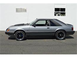 1984 Ford Mustang (CC-1461160) for sale in Springfield, Massachusetts