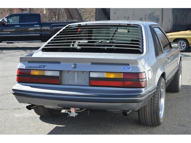 1984 Ford Mustang (CC-1461160) for sale in Springfield, Massachusetts