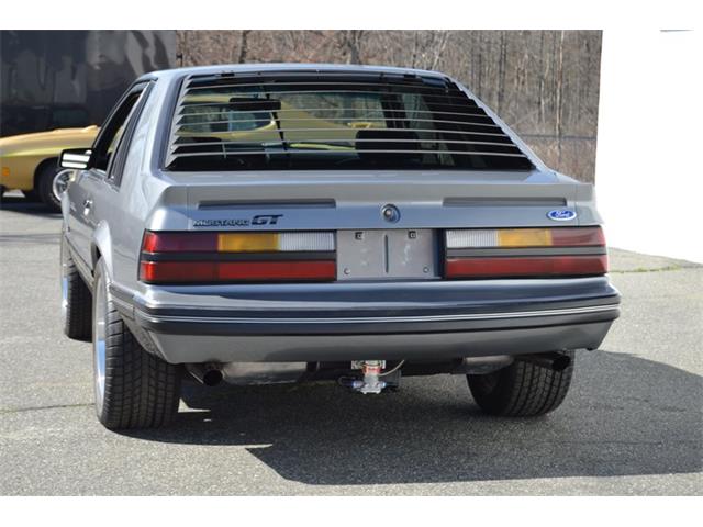 1984 Ford Mustang (CC-1461160) for sale in Springfield, Massachusetts