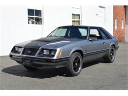1984 Ford Mustang (CC-1461160) for sale in Springfield, Massachusetts