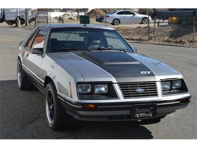 1984 Ford Mustang (CC-1461160) for sale in Springfield, Massachusetts