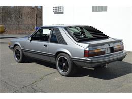 1984 Ford Mustang (CC-1461160) for sale in Springfield, Massachusetts