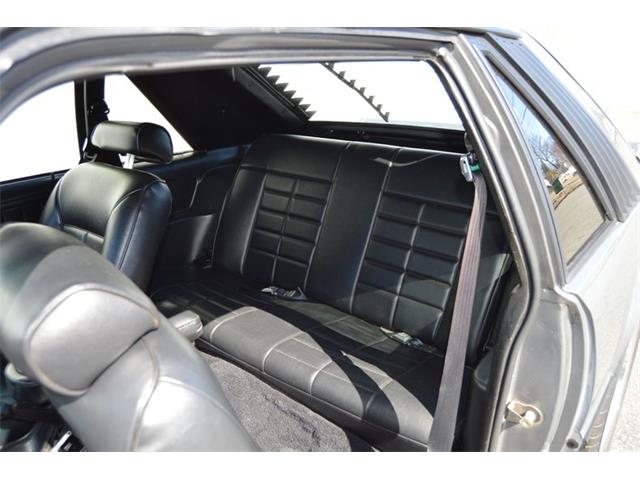 1984 Ford Mustang (CC-1461160) for sale in Springfield, Massachusetts