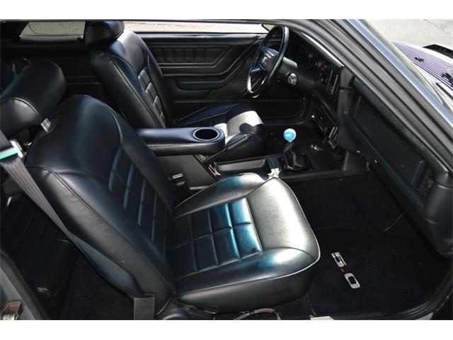 1984 Ford Mustang (CC-1461160) for sale in Springfield, Massachusetts