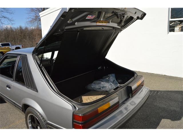 1984 Ford Mustang (CC-1461160) for sale in Springfield, Massachusetts