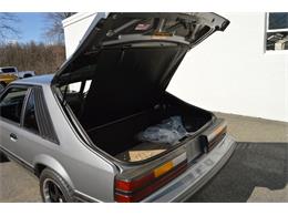 1984 Ford Mustang (CC-1461160) for sale in Springfield, Massachusetts