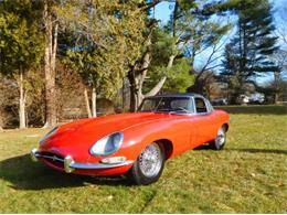 1967 Jaguar Series 1 (CC-1461416) for sale in Cadillac, Michigan