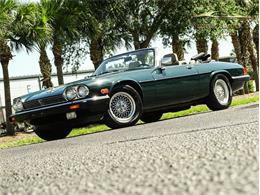 1991 Jaguar XJS (CC-1462161) for sale in Palmetto, Florida